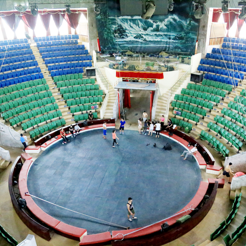 HARMAN Professional Solutions Helps Vietnam’s Central Circus Theatre Continue a Tradition of Excellence