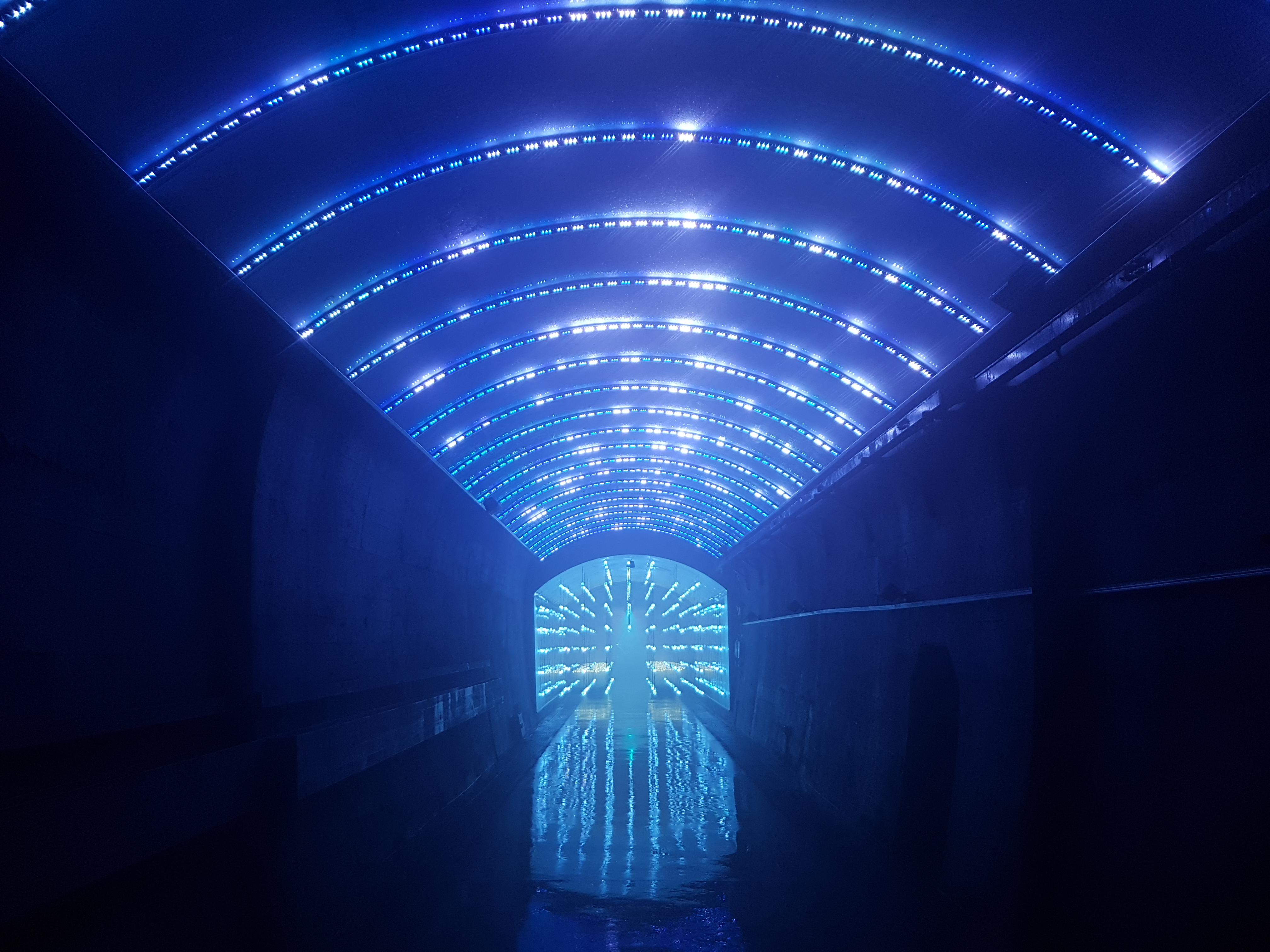 South Korea Lights the Way Through Suyanggae Light Tunnel with Martin By HARMAN