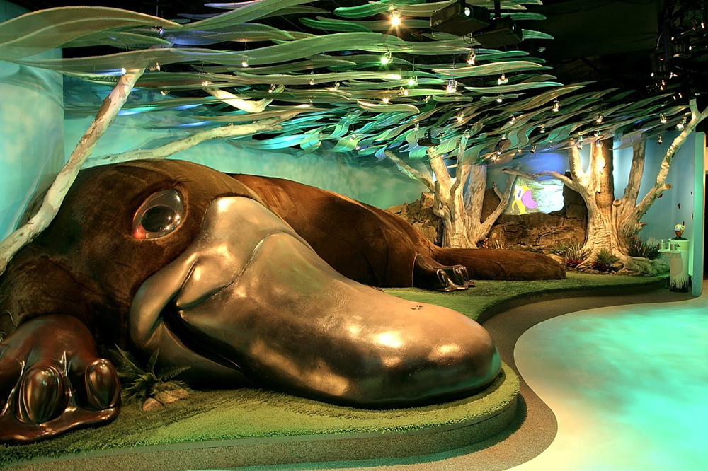 Australian Pavilion World Expo Lit By Martin Manias