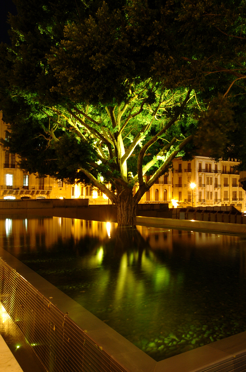 Downtown Garden, Beirut, Lebanon