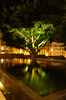 Downtown Garden, Beirut, Lebanon