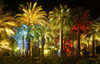 Boulevard de la Croisette, Cannes, France