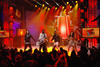 Martin MAC 401 Dual™ Something New for US Holiday Shows