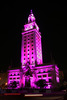 Martin Exterior 400 Range™ Brings Freedom Tower to Light