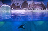“Cool” Martin Lighting at Penguin Bay in LEGOLAND®