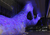 Qatar National Convention Center’s Dynamic Dress