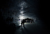 United Visual Artists, My Beautiful City and Martin Awaken Serpentine Summer Pavilion