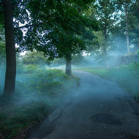 Boston’s Emerald Necklace Conservancy Powers Ambitious Public Art Project with JBL by HARMAN