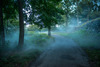Boston’s Emerald Necklace Conservancy Powers Ambitious Public Art Project with JBL by HARMAN