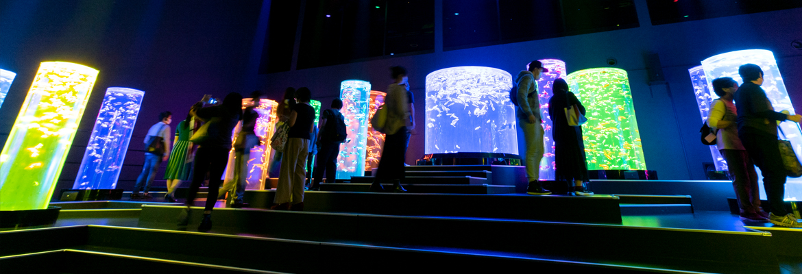 Cutting-Edge Lighting Systems from Martin by HARMAN Deliver Dazzling Displays at Art Aquarium