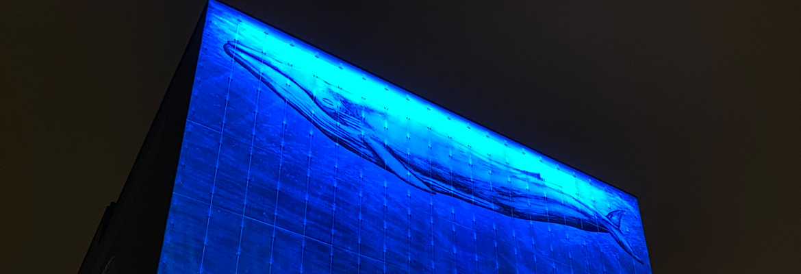 Piispantorni Building Makes Waves in the Kaarina Night Sky With Martin Exterior Projection 1000 Fixtures