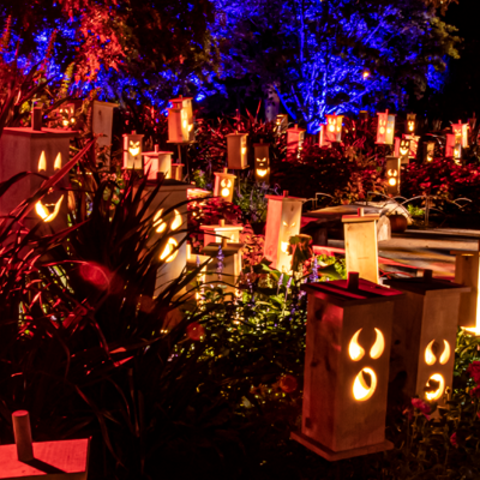 Carved at Descanso Gardens Brings Family-Friendly Halloween Visuals to Life With Martin Professional