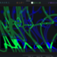 P3_6.0.0_Screenshot_3_-_Setup_View_Video_Input_Background