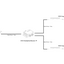 16_-_DCE_DataSplitterBooster_IP_in_Entertainment_Applications_-_20241202