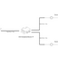 17_-_DCE_DataSplitterBooster_IP_in_Architectural_Applications_-_20241202