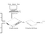 08_-_P3_PowerPort_500_IP_Rental_in_Entertainment_Applications_-_Mixed_Control_-_20241202