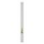 JBL_Intellivox_DS180D_Render_back