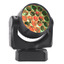 MAC Aura XB | Martin Lighting | English (US)