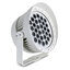 Exterior 310 White