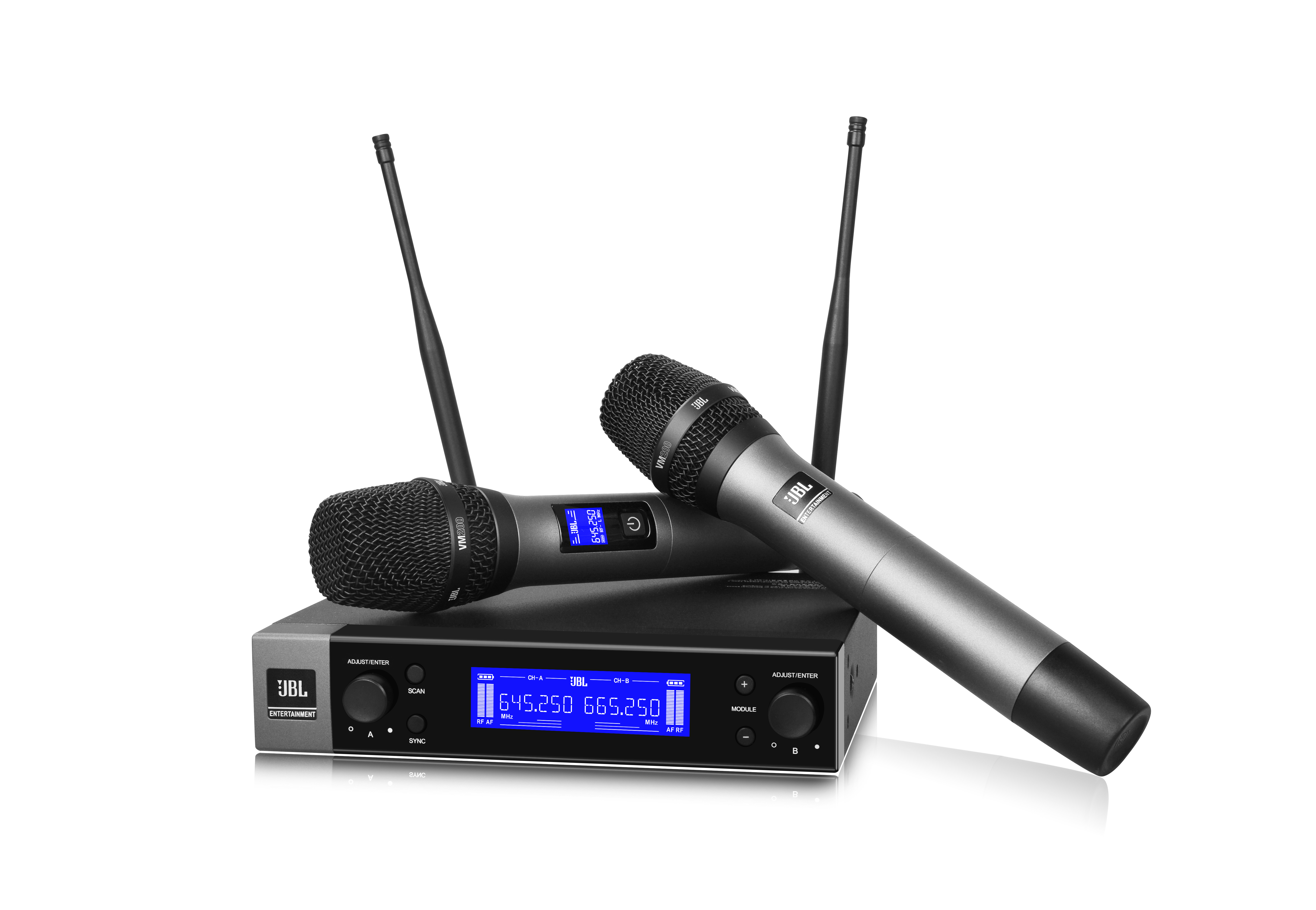 JBL VM-300 Professional Dual Wireless Microphone Karaoke System for KT –