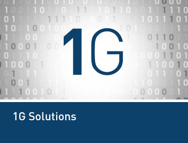 1G AVoIP Window Processing