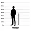 JBL_Intellivox_WebpageSizeCharts_2500x2500_DS115